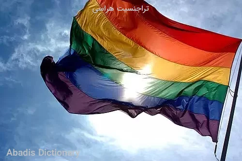 تراجنسیت هراسی